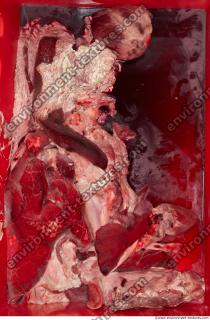 Photo Textures of RAW Pork Viscera